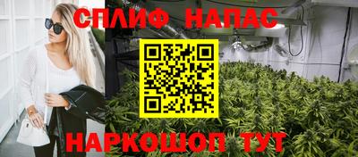 не бодяженный Будённовск