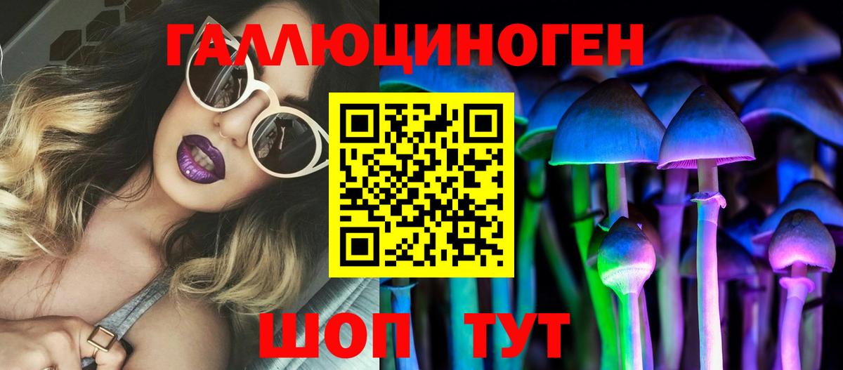 Псилоцибиновые грибы Psilocybe Норильск